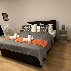 Ferienwohnung Graf, Balkon, Parkplatz, Kuche, Grosses Wohnzimmer Mit Fernseher Regen
