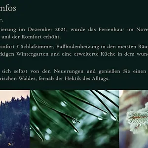 Bayerischer Wald Regen