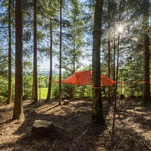 Baumzelt Am Waldesrand Regen